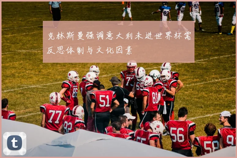 克林斯曼强调意大利未进世界杯需反思体制与文化因素